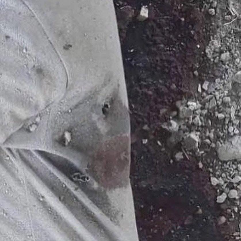 TheGlobal_in's tweet image. The Israeli soldiers took this photo, claiming that they were helping the elderly Palestinian man, then they killed him minutes later after filming was over.