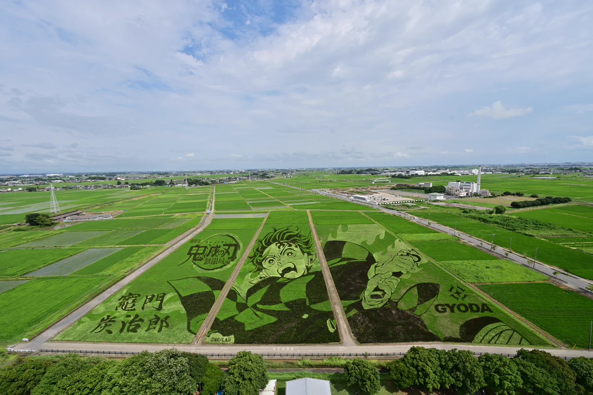 行田市 on X: 