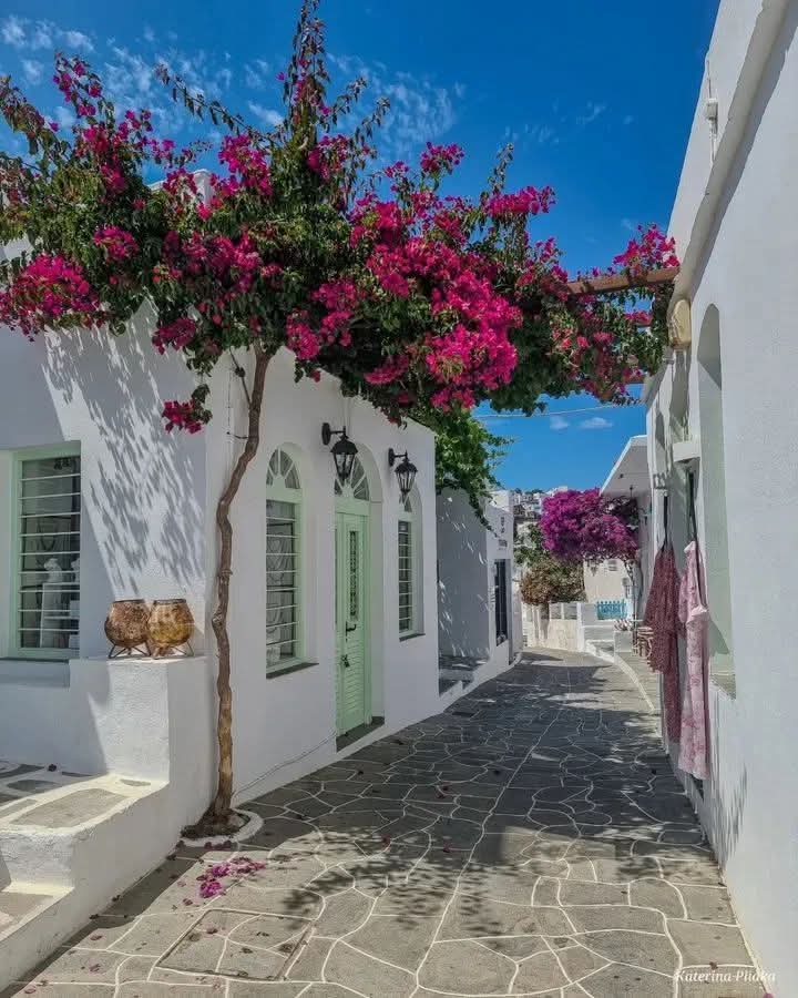 “Yolu rasgele yürürsen ömür,
Denginle yürürsen şiir olur.”🍀

#Günaydın mutlu #Sabahlar 🩷☕️🩵