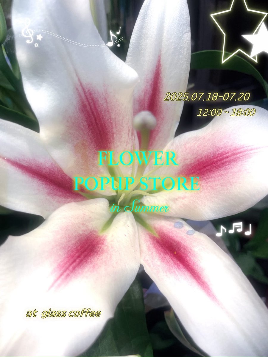 roku_denashi6's tweet image. ⁡
⁡✣ 𝖯𝖮𝖯𝖴𝖯 𝖲𝖳𝖮𝖱のお知らせ ✣
⁡
明日から3日間POPUPを
開催いたします🍀

📍glass coffee
新宿区新宿1-36-3 新宿御苑136ビル1階

🔖.·
7/18(𝘍𝘳𝘪) - 7/20(𝘚𝘶𝘯)
𝘖𝘗𝘌𝘕 12:00 〻 𝘊𝘓𝘖𝘚𝘌 18:00

今回は生花とハンドメイドも出すよ～！
ぜひ遊びにきてね🎵ྀི