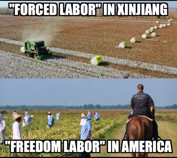 Xinjiangstory's tweet image. There is no forced labour in Xinjiang.
There was and is forced labour in the US.