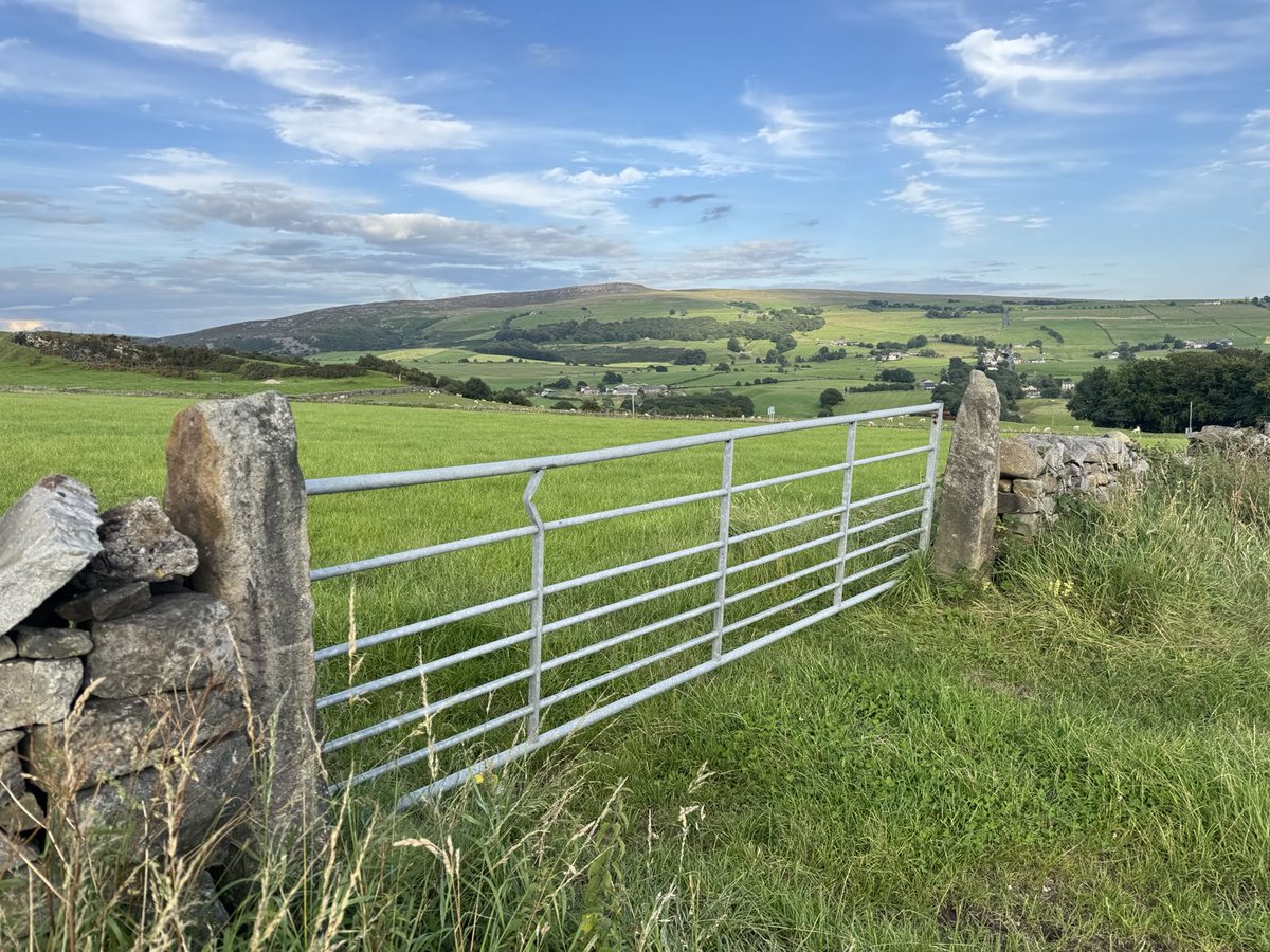 DrPeterWeeks1's tweet image. Good morning gate 😊