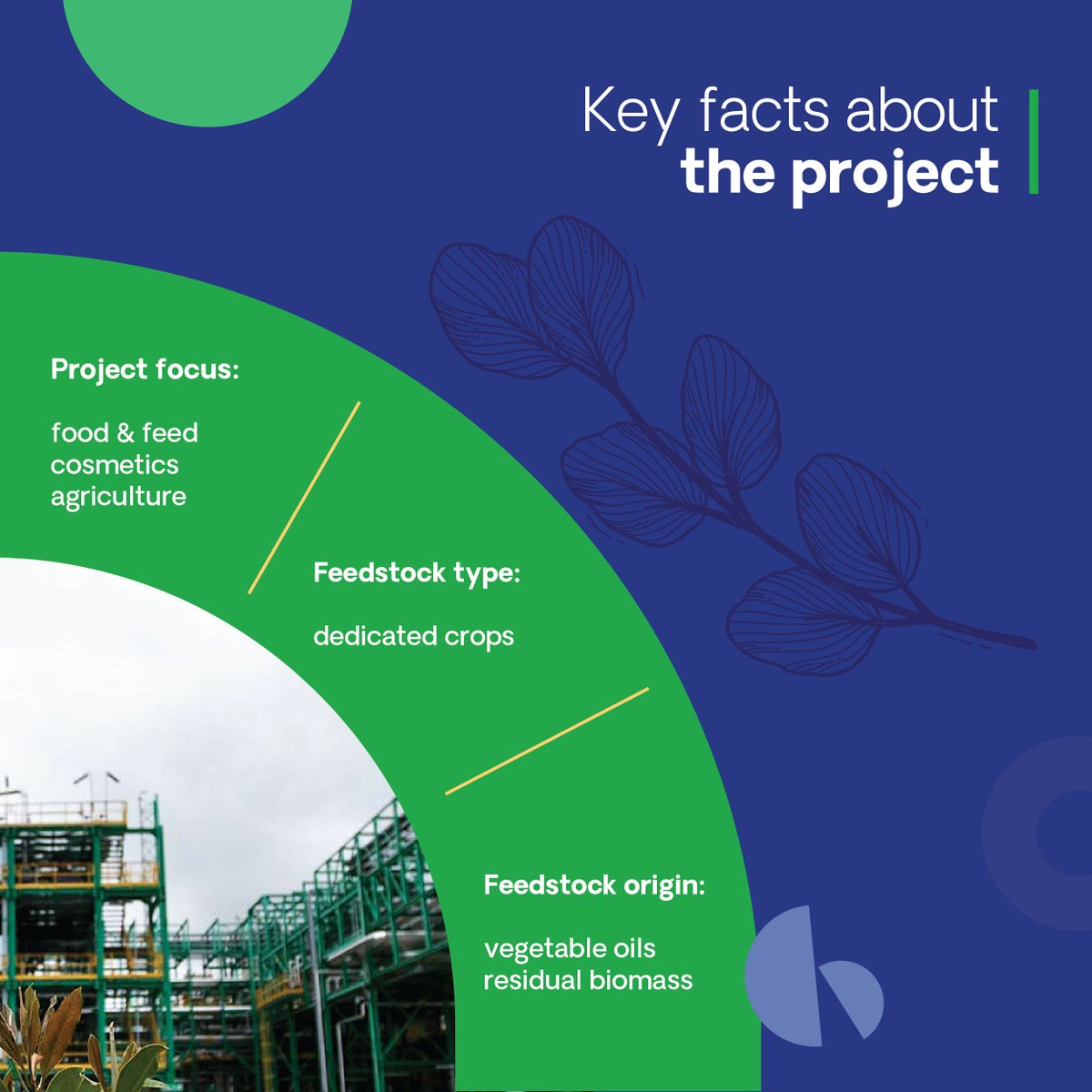 📣 The CBE JU-funded RUNFASTER4EU project is transforming underutilised lands into productive biomass sources.

It converts vegetable oils and residual biomass into high-value products, supporting cosmetics, agriculture, feed and packaging sectors: cbe.europa.eu/projects/runfa…