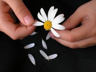 kaya7010's tweet photo. Tüm suç o son yapraktaydı....

Günaydın.. https://t.co/X2iDew9Ayy