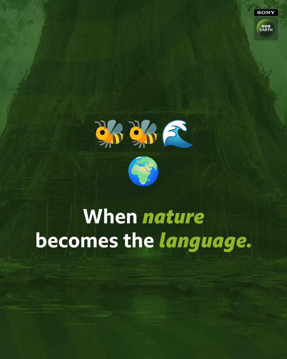 Three emojis. One planet.​
Nature has always been part of our name.​
​
#SBBCE #SonyBBCEarth #FeelAlive #Emoji