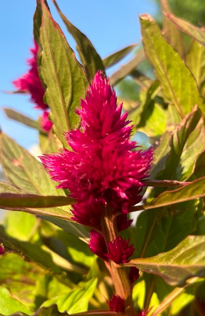 Goedemorgen beste TwiXers, een fijne dag toegewenst 😀👍