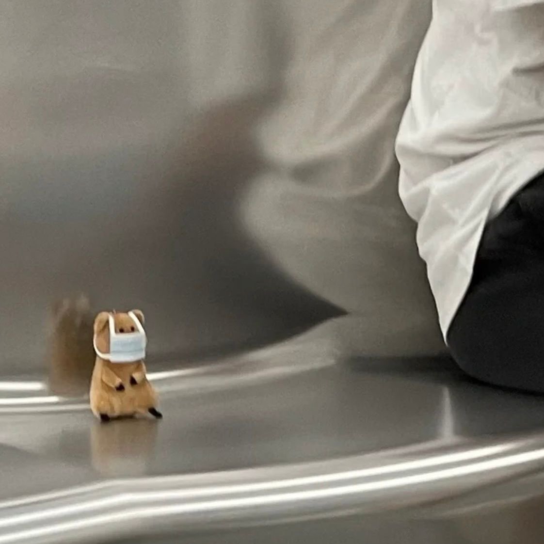 💖 (@twaniimals) on Twitter photo 