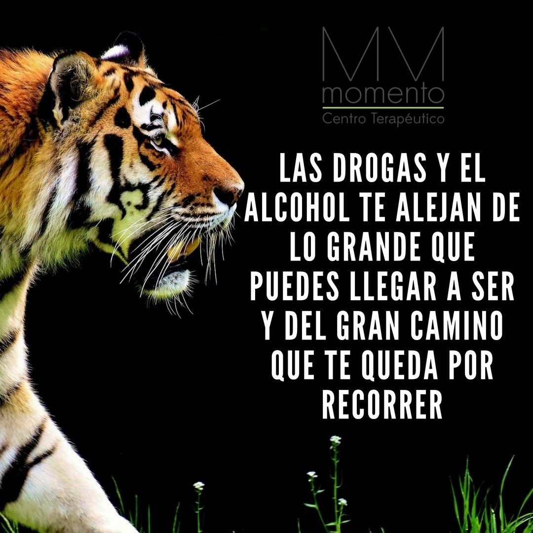 Rors (@rorsvlr) on Twitter photo 