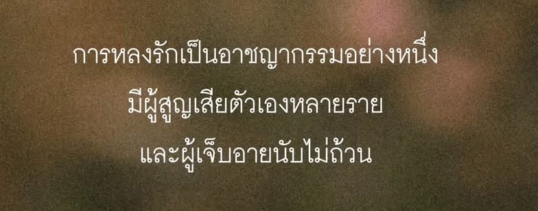 หนังสือเซรามิกแตกสลายและดอกไม้อื่นๆ