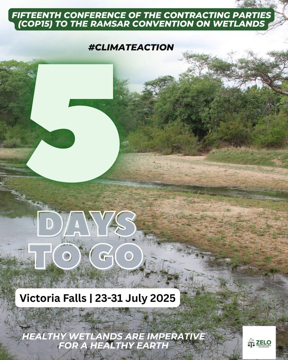 Zimbabwe Environmental Law Association (ZELA) (@zela_infor) on Twitter photo 🗓️ 5 DAYS until #COP15 to <a href="/RamsarConv/">Convention on Wetlands</a> on wetlands in Victoria Falls 🇿🇼. The Zimbabwe Environmental Law Organisation (ZELO) joins global leaders to demand full implementation of wetland laws and policies.
📢 Follow <a href="/ZELA_Infor/">Zimbabwe Environmental Law Organisation (ZELO)</a> for updates and join the calls for wetland 🗓️ 5 DAYS until #COP15 to <a href="/RamsarConv/">Convention on Wetlands</a> on wetlands in Victoria Falls 🇿🇼. The Zimbabwe Environmental Law Organisation (ZELO) joins global leaders to demand full implementation of wetland laws and policies.
📢 Follow <a href="/ZELA_Infor/">Zimbabwe Environmental Law Organisation (ZELO)</a> for updates and join the calls for wetland