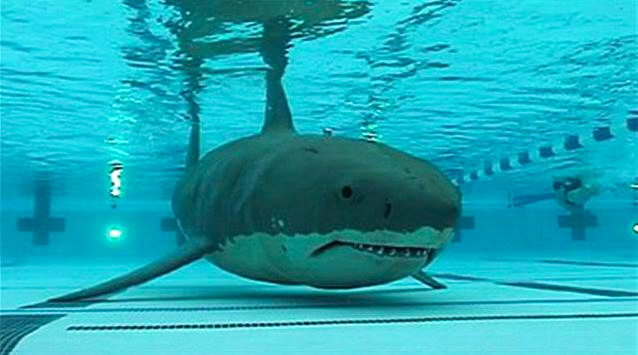NostalgiaFolder's tweet image. Share your completely irrational childhood fear...
I'll go first 😭