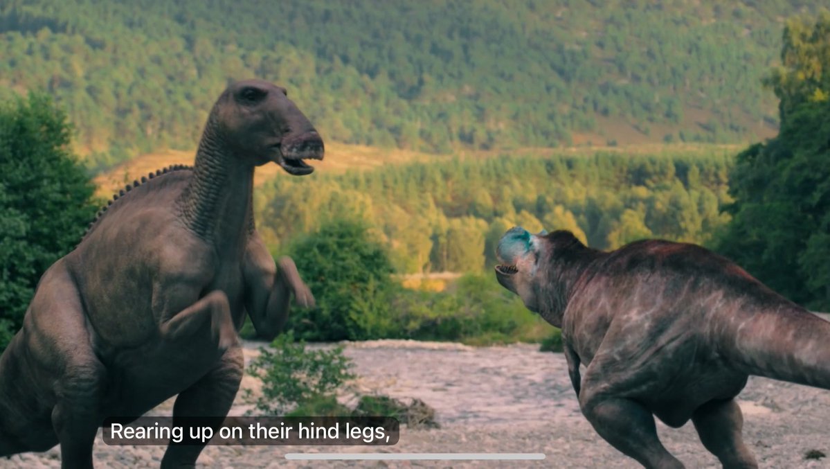 GnuDoyng's tweet image. 《与恐龙同行》2025季,有一集是埃德蒙顿龙(Edmontosaurus)大战阿尔伯塔龙(Albertosaurus),笑死。
这对史前宿敌大概做梦也想不到,当时还在钻地洞的像老鼠一样的哺乳动物在七千万年后进化成了一群统治地球的二脚兽,然后用它们的化石出土地所在的城市和省份为它们命名。