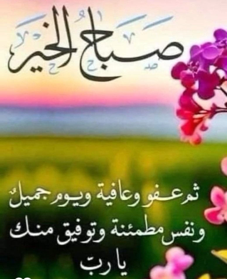 abdula mohammad (@abdulamohammad5) on Twitter photo 