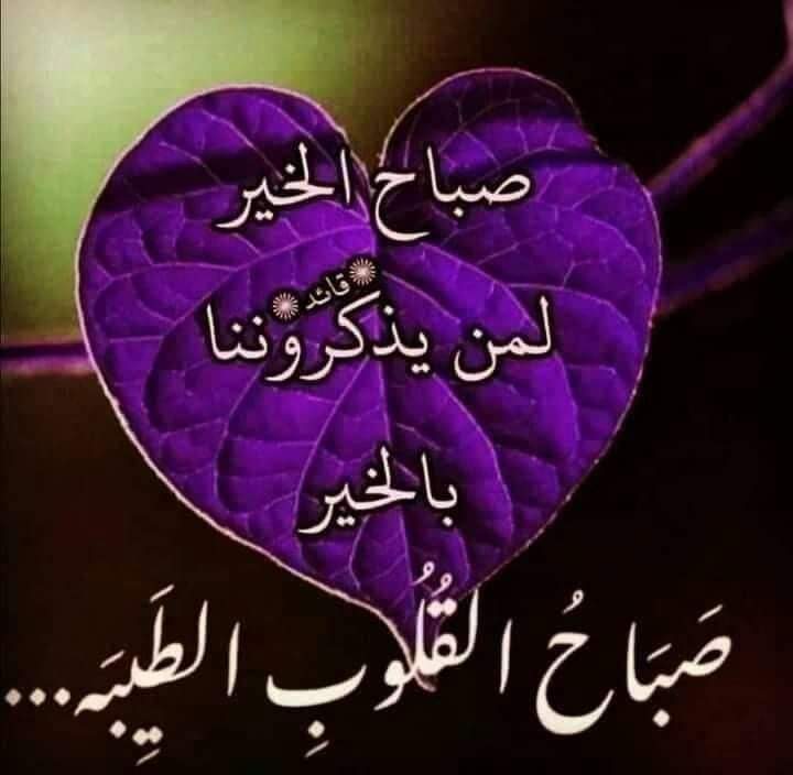 abdula mohammad (@abdulamohammad5) on Twitter photo 