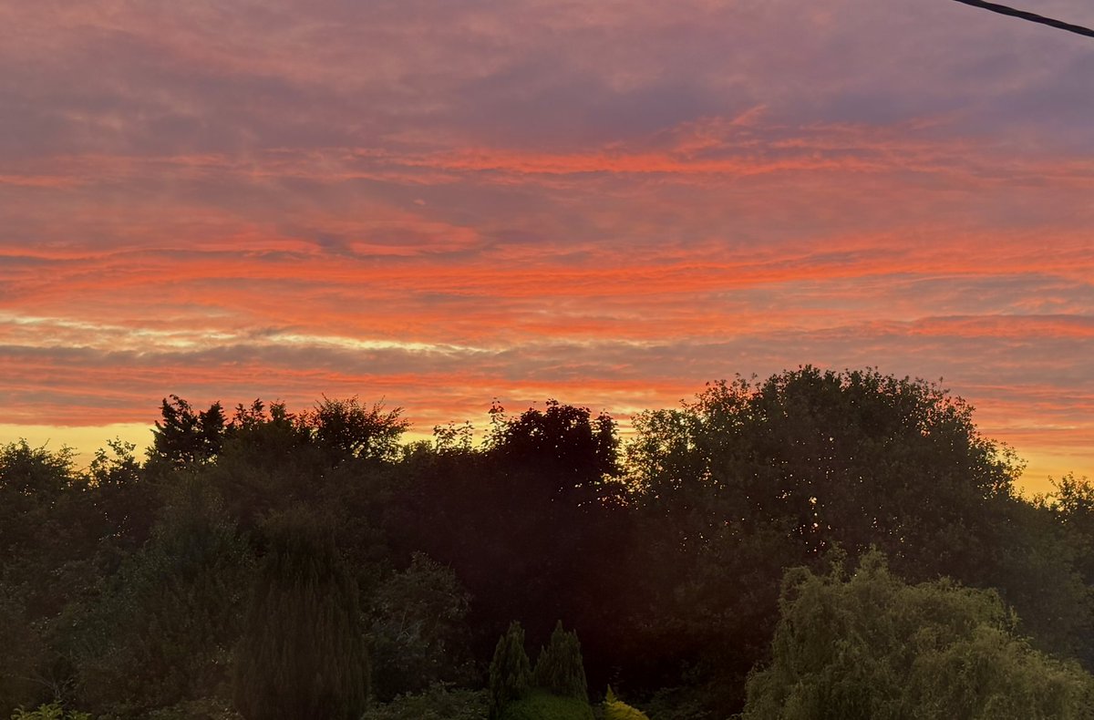 Red sky this morning !