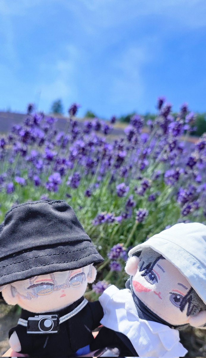 🌲🪻🧸☀️💫
(※ｽﾀﾝﾄﾞとﾊﾞｹﾊは私物です)