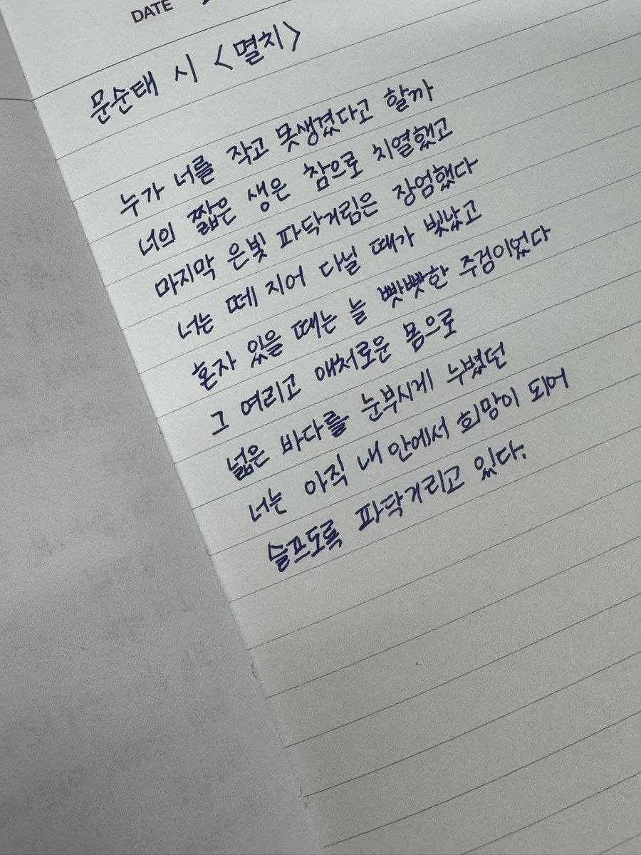 thiscloud486's tweet photo. 멸치야 미안해 https://t.co/HlrZ7A4H07