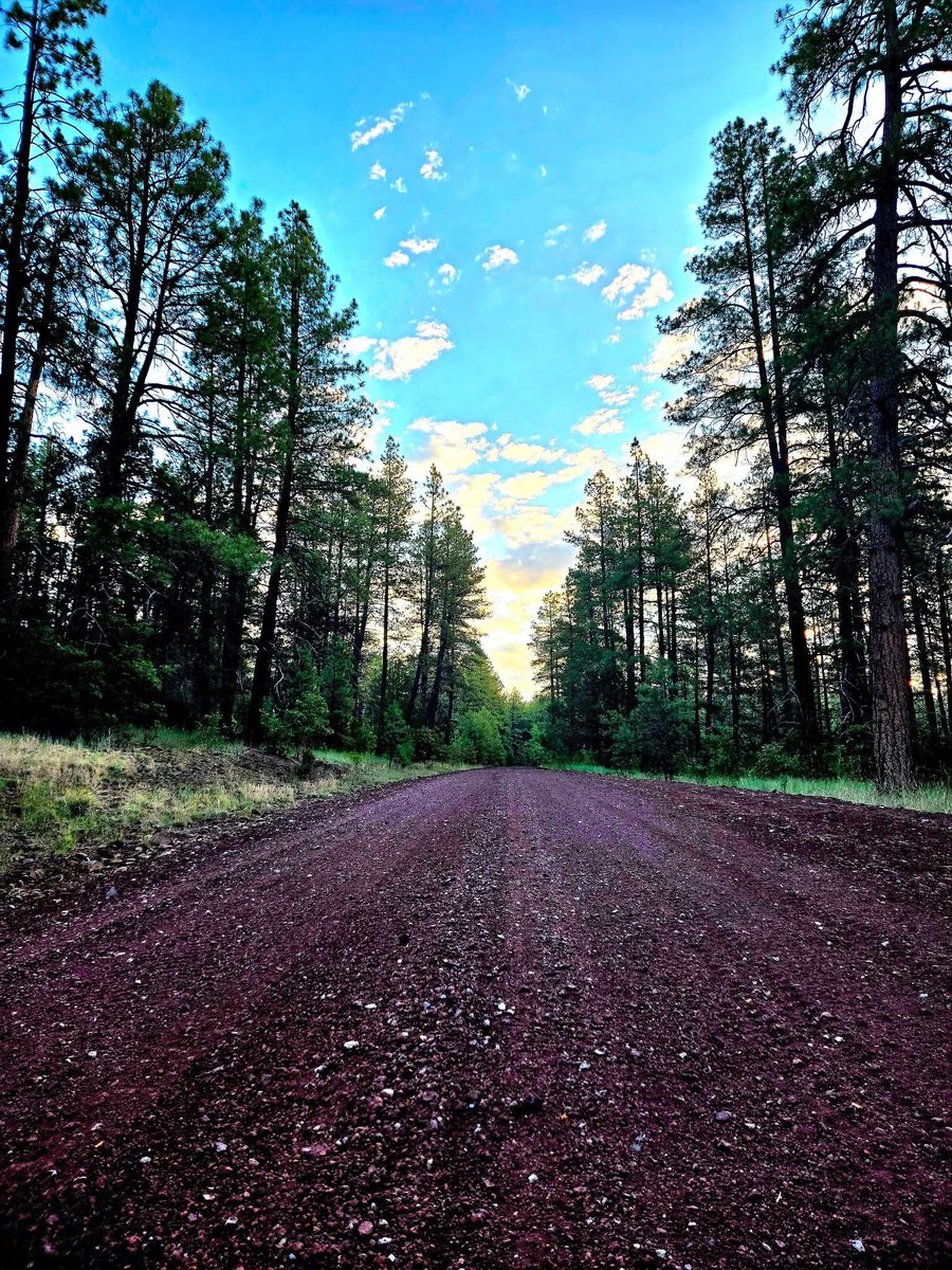 alexander harper (@alexanderh41691) on Twitter photo 