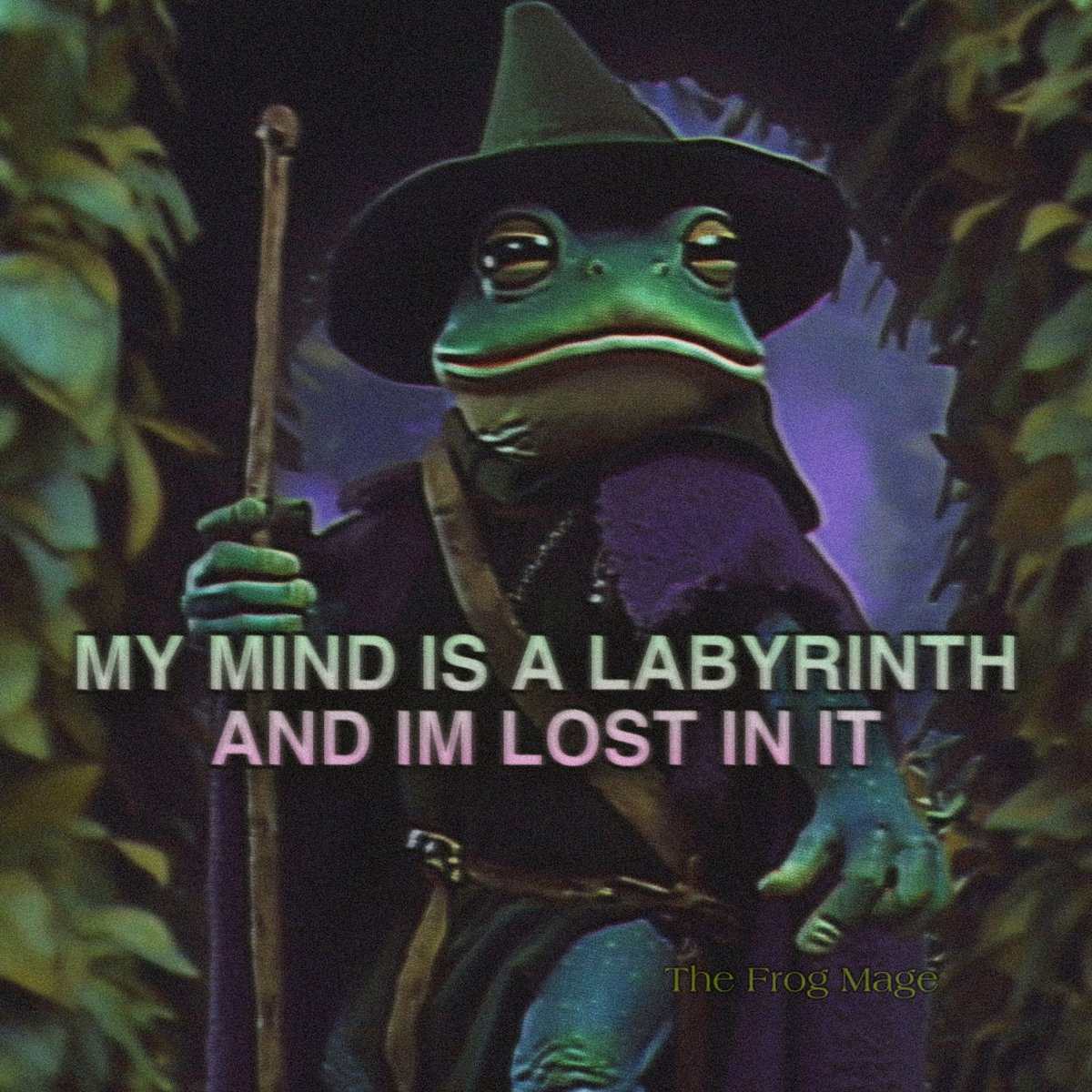 the_frog_mage's tweet image. 