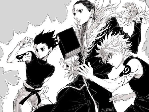 Hunter x Hunter (@hxhvizuals) on Twitter photo 