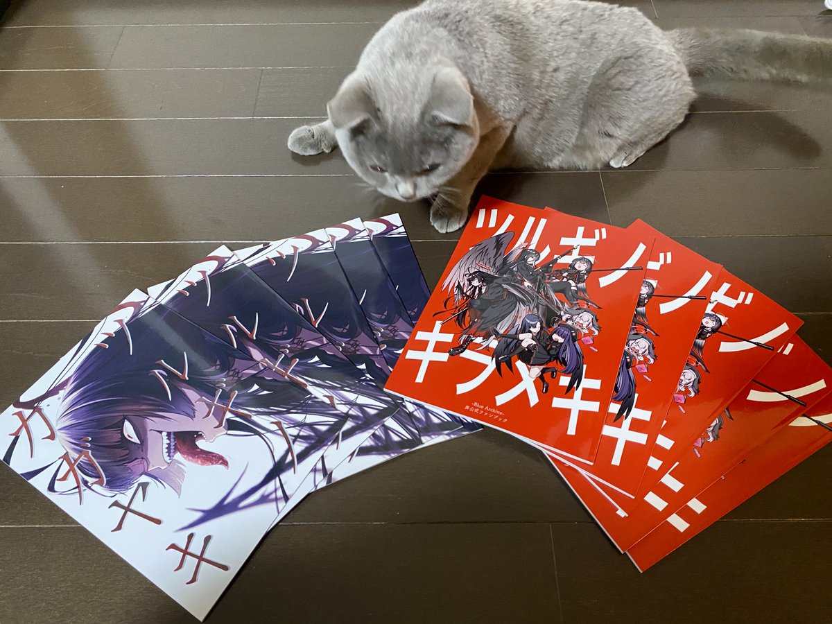 phyrexia_matoba's tweet image. 新刊サンプルがきた