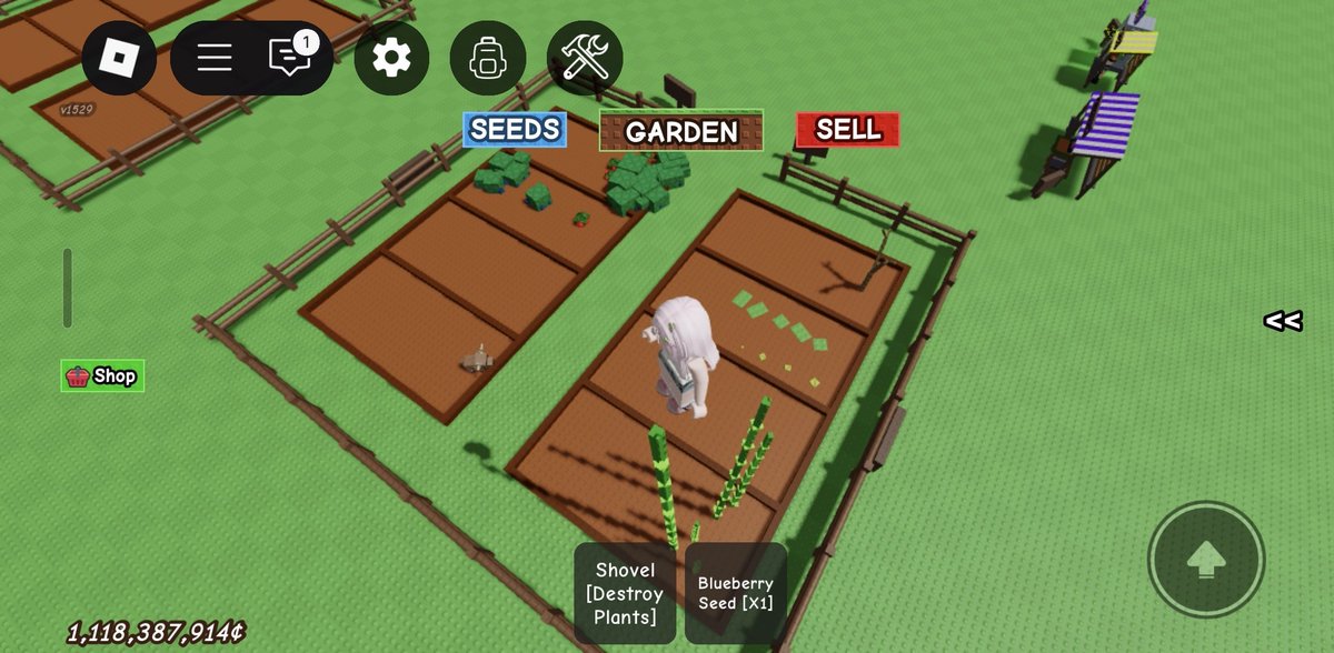 gecia²⁶ lolos pil 1 tweet media