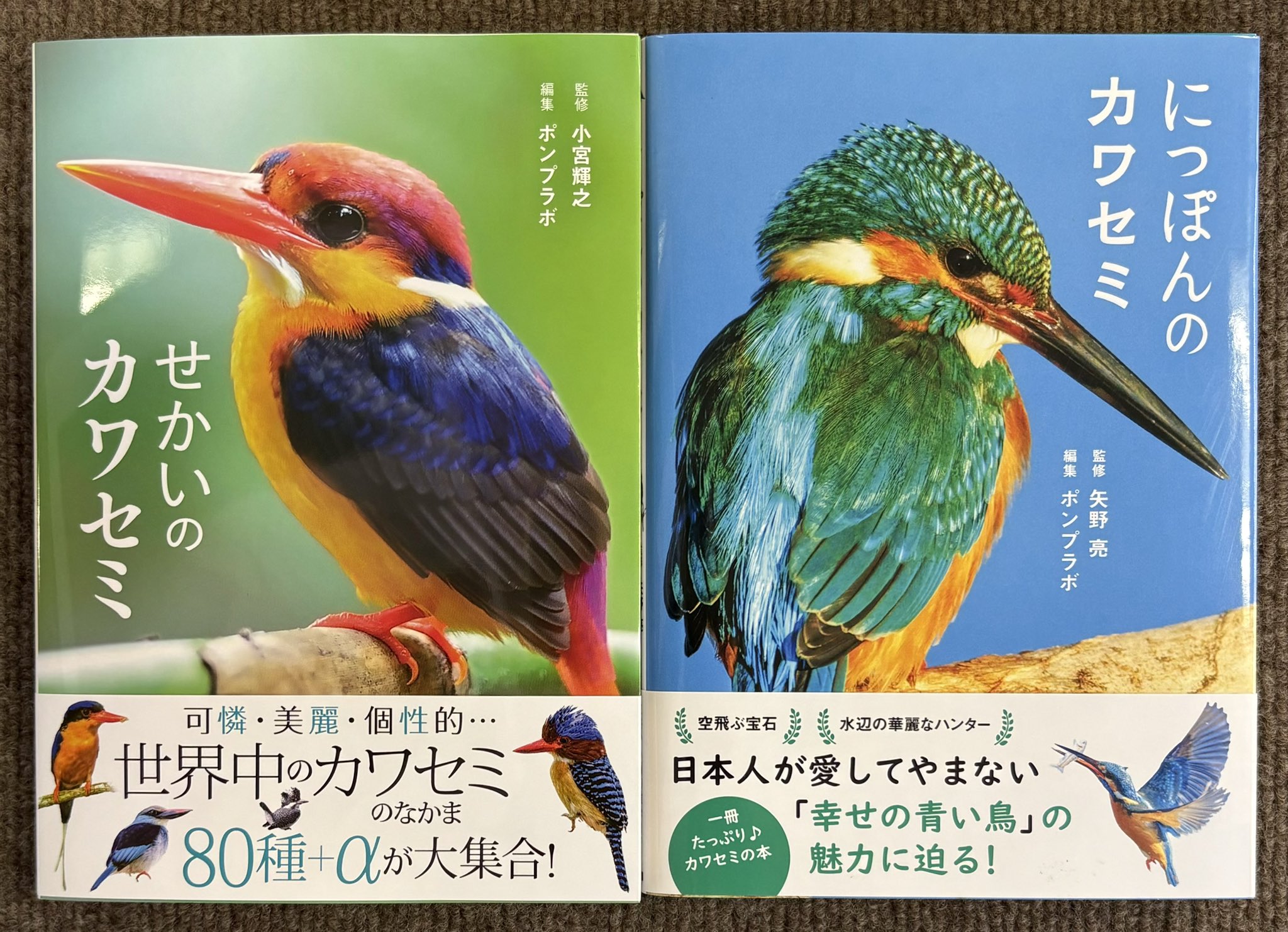 ホーミタクヤセン インディアンの癒しの言葉 61F8vdeytLL._AC_SY200_QL15_.jpg