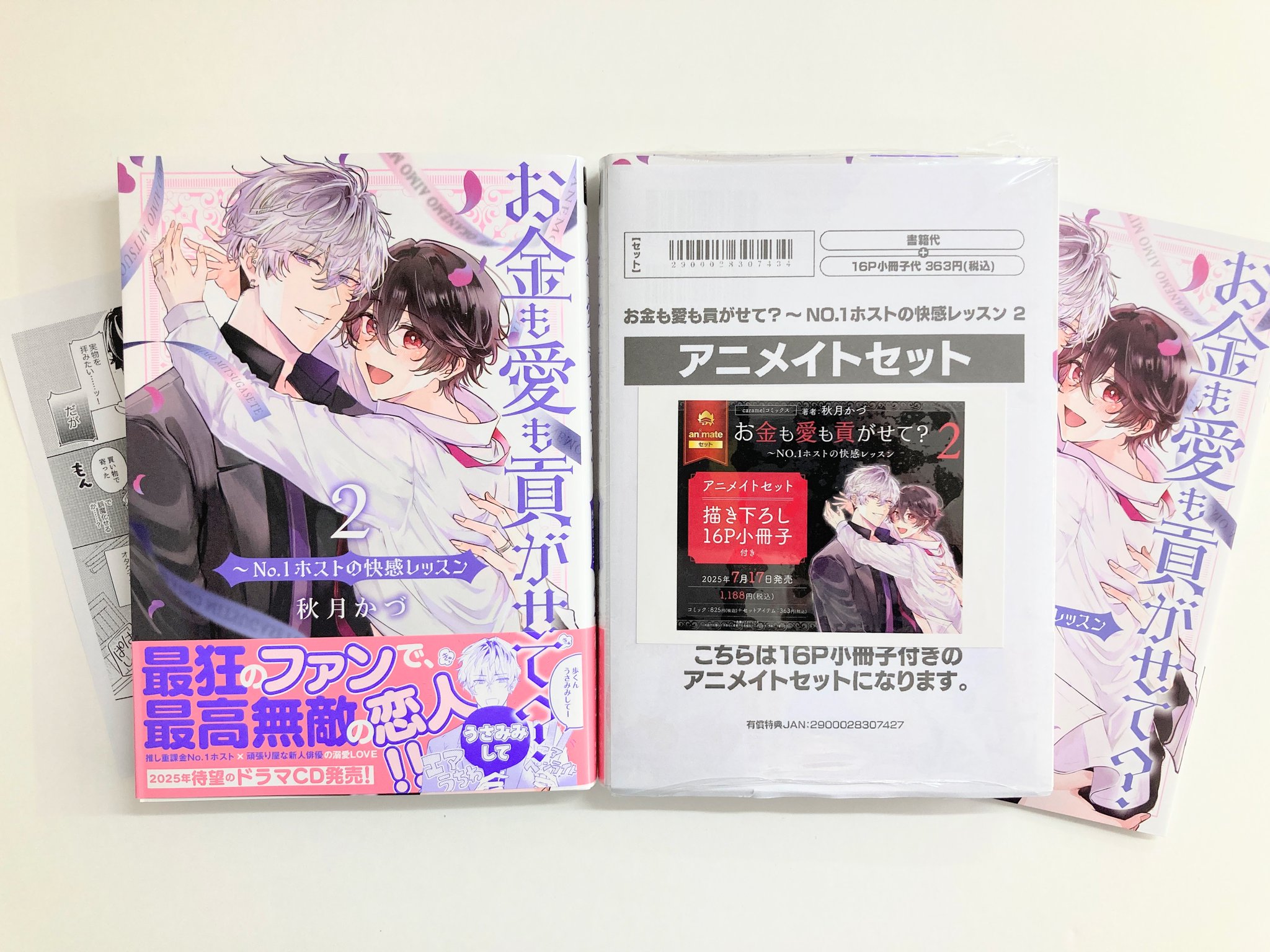 きんとうか　アニメイト特典小冊子「宗定編」 きんとうか 宗定編 アニメイト特典 小冊子