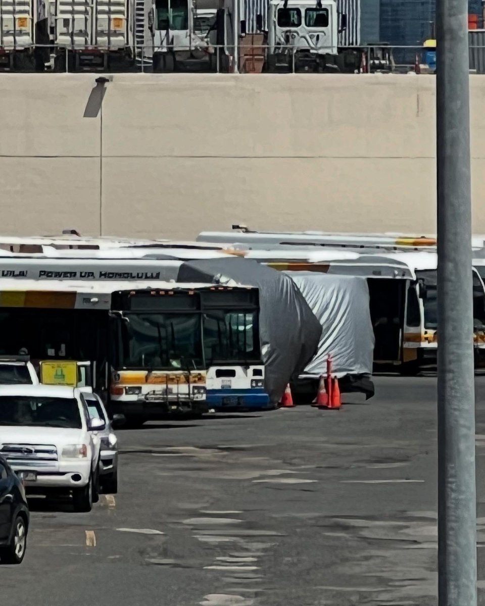 DailyBusPhoto's tweet photo. Bus 4013 and Bus 4017, taken too soon.
#Photograghy #PublicTransit #Transit #Bus #BusSpotting #TheBus #HOLOWithUs #GILLIG #GilligBEB #Electric #ZeroEmissionBus #Hawaii #Honolulu #Oahu https://t.co/GxVWRqcv13