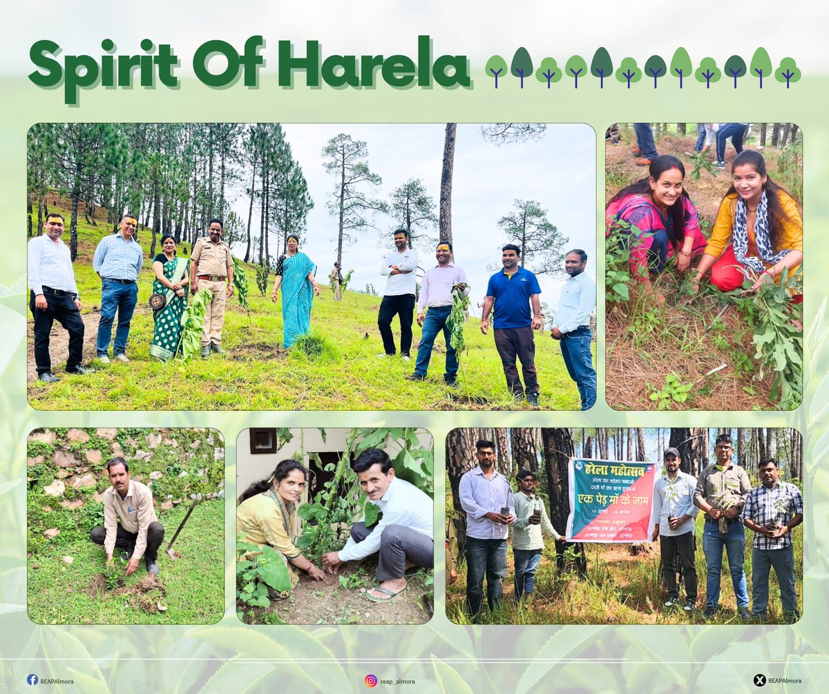 <a href="/REAPAlmora/">REAP Almora</a> <a href="/REAPUttarakhand/">REAP Uttarakhand</a>