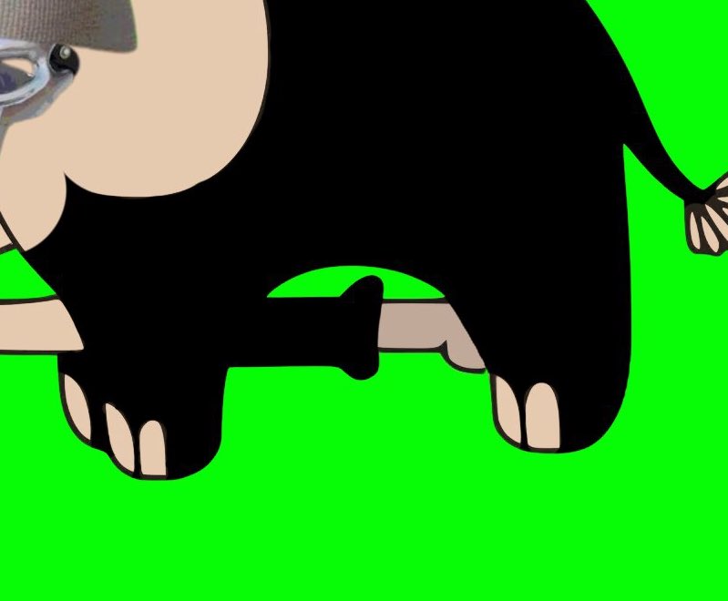 self sucking elephant tweet media