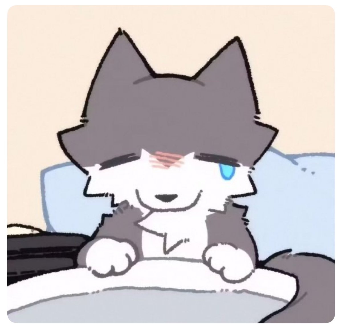 柴记糯米鸡 tweet media