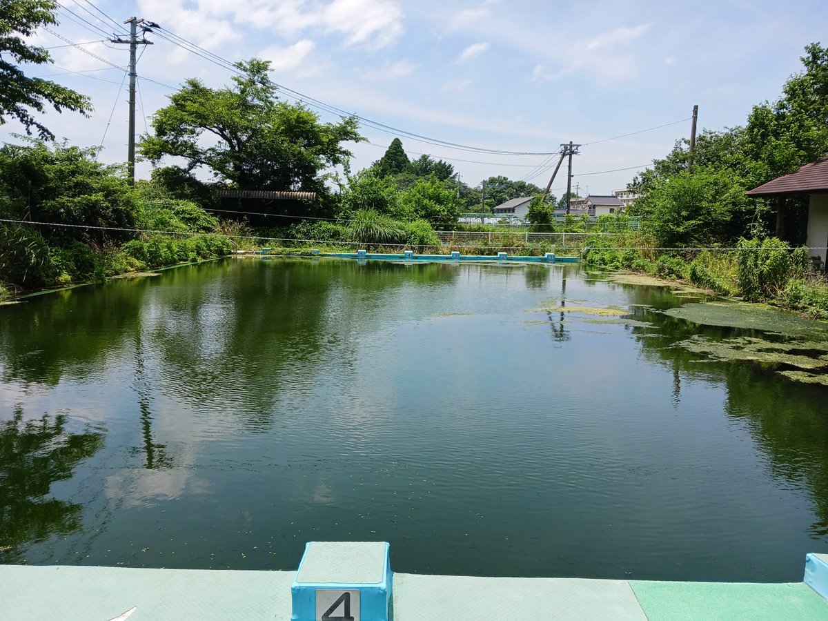 Aso_Fire_D's tweet photo. 🚒訓練場所の確保に向けて🌿

6月25日〜27日の3日間、閉校となった小学校のプールを清掃しました！

職員総出で作業を行い、3日間かけて見違えるほどきれいに✨

今後も、地域のみなさまの安心・安全に応えられるよう、しっかりと訓練に励んでまいります！

#消防 #水難救助 #訓練 #プール活用 https://t.co/Fbq7vO4Tdo