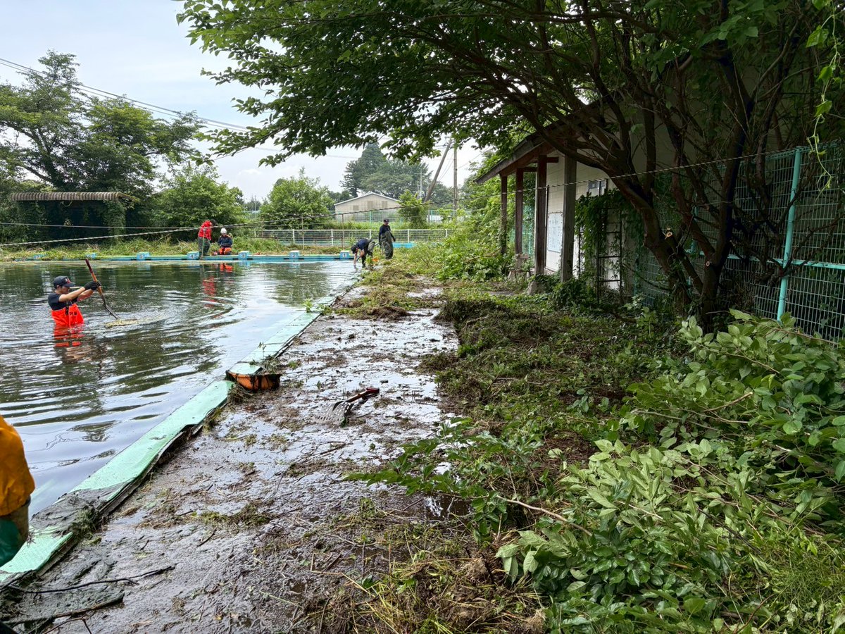 Aso_Fire_D's tweet photo. 🚒訓練場所の確保に向けて🌿

6月25日〜27日の3日間、閉校となった小学校のプールを清掃しました！

職員総出で作業を行い、3日間かけて見違えるほどきれいに✨

今後も、地域のみなさまの安心・安全に応えられるよう、しっかりと訓練に励んでまいります！

#消防 #水難救助 #訓練 #プール活用 https://t.co/Fbq7vO4Tdo