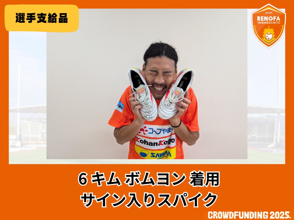 非売品 レノファ山口サインボール 非売品 レノファ山口サインボール