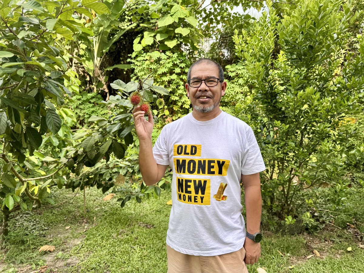 My first rambutan harvest at Laman Pok Nik. Beberapa biji sahaja. Kira ok lah.