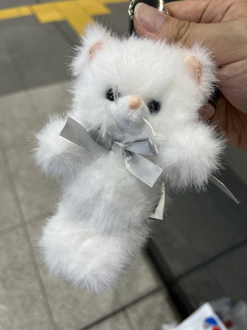 なんか死体みたいで可愛くて買った猫
1000円 
