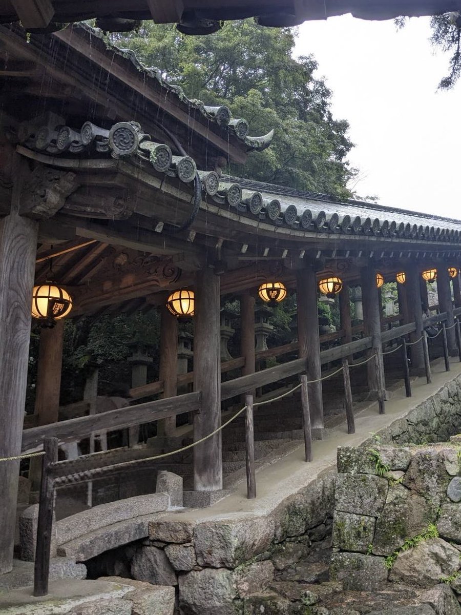 MyE1e's tweet image. 長谷寺へ
大きな観音菩薩様✨
張り詰めていたせいか、ほろっとしました。雨でしたけど☀️お日様
🦌鹿さんがずっとついてきた😊