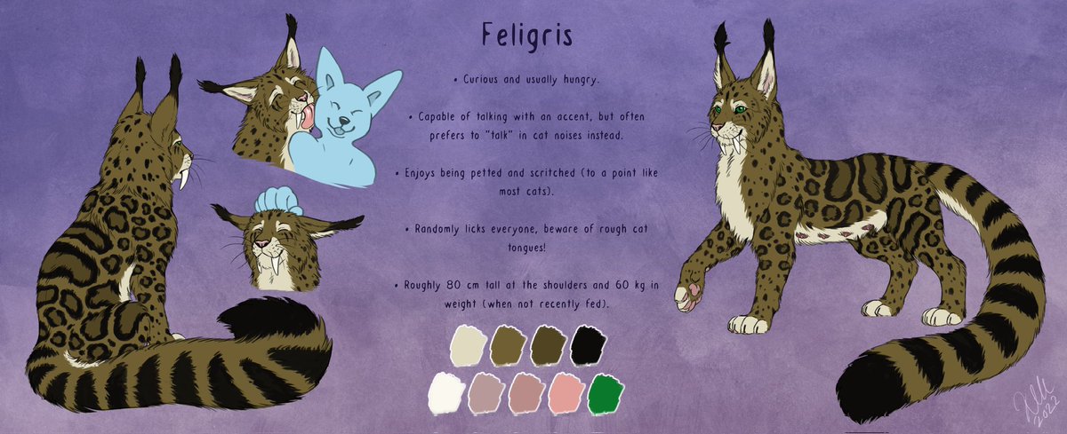 Feligris tweet media