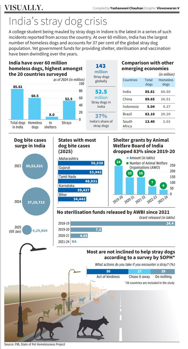 Data Stories from BusinessLine (@bl_datastories) on Twitter photo India has over 60 million stray dogs, the highest globally. Dog bite cases are rising, but shelter and sterilisation funds have dropped 83% since 2019.
✍️<a href="/YashaswaniChau1/">Yashaswani Chauhan</a>
Visually for <a href="/businessline/">businessline</a>
Read: thehindubusinessline.com/data-stories/v… India has over 60 million stray dogs, the highest globally. Dog bite cases are rising, but shelter and sterilisation funds have dropped 83% since 2019.
✍️<a href="/YashaswaniChau1/">Yashaswani Chauhan</a>
Visually for <a href="/businessline/">businessline</a>
Read: thehindubusinessline.com/data-stories/v…