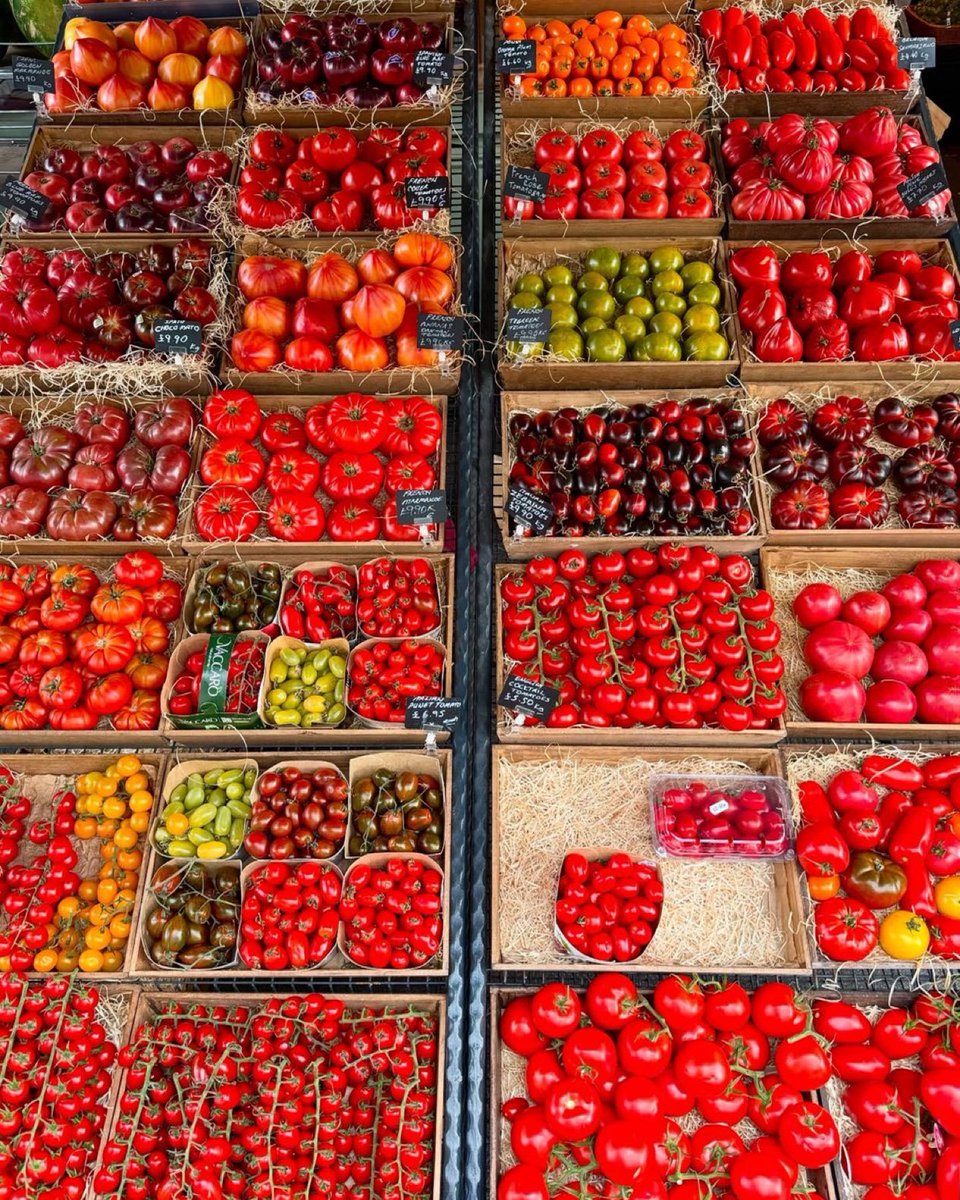 The variety of tomatoes sold in this shop