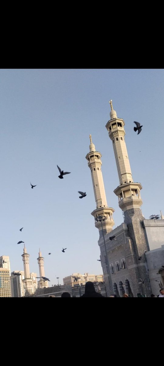 taiser_abo's tweet photo. اللهم لا تجعلها آخر عهد لي فيها
وتقبل منا
#مكة_المكرمة
#مكة
اللهم صلِ على النبي الأمي محمد أبن عبدالله https://t.co/XOxV3qwtIJ