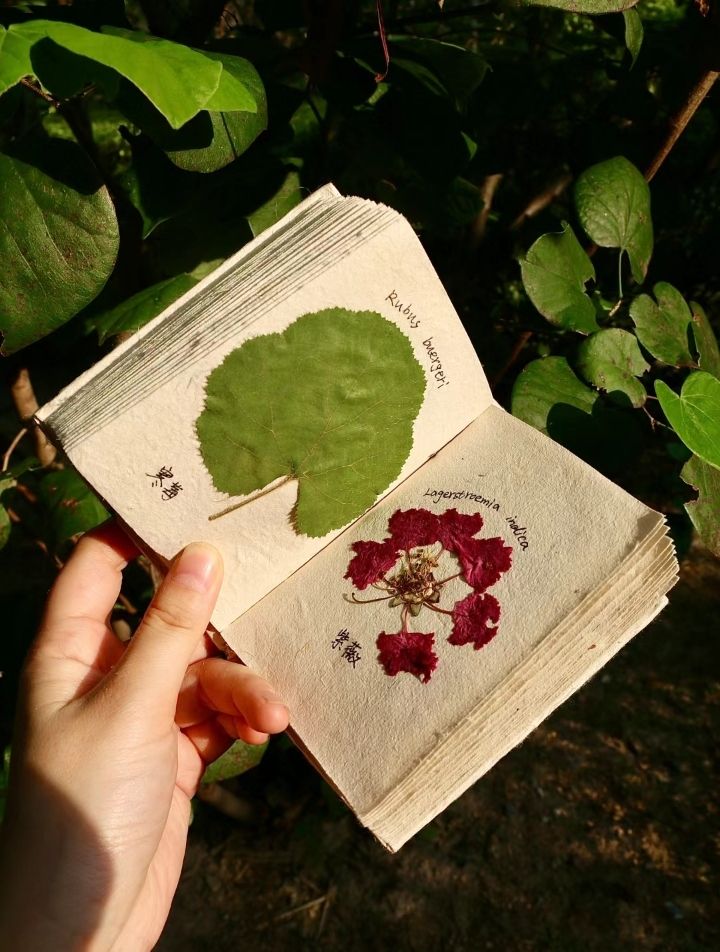 ᅠ ᅠ (@solukayna) on Twitter photo 