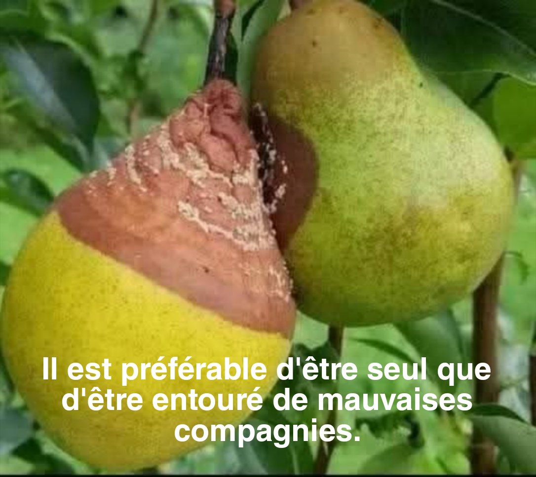 Bon jeudi✍️