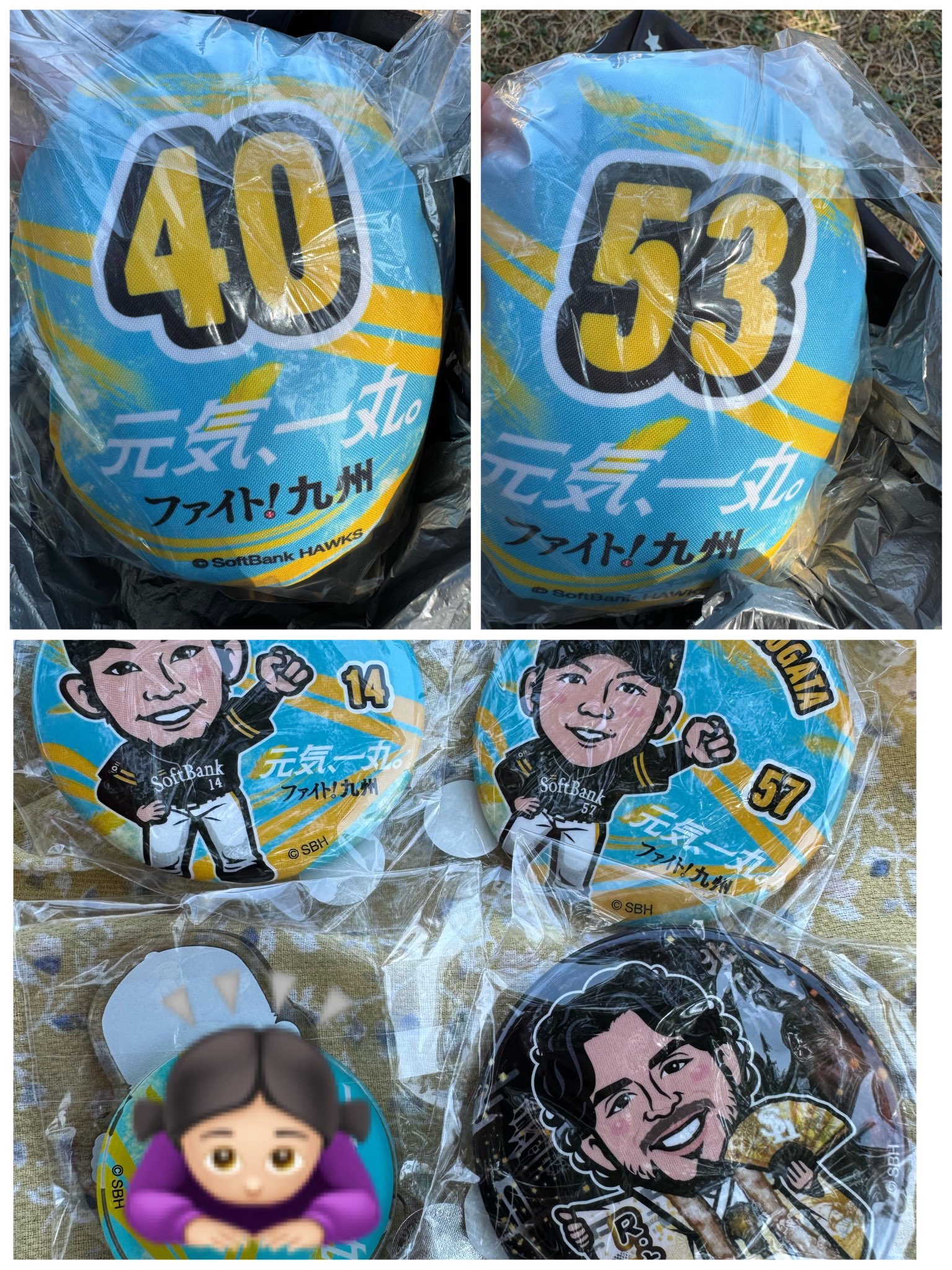 しらたま@大関くんに勝ち星を😭 on X: 