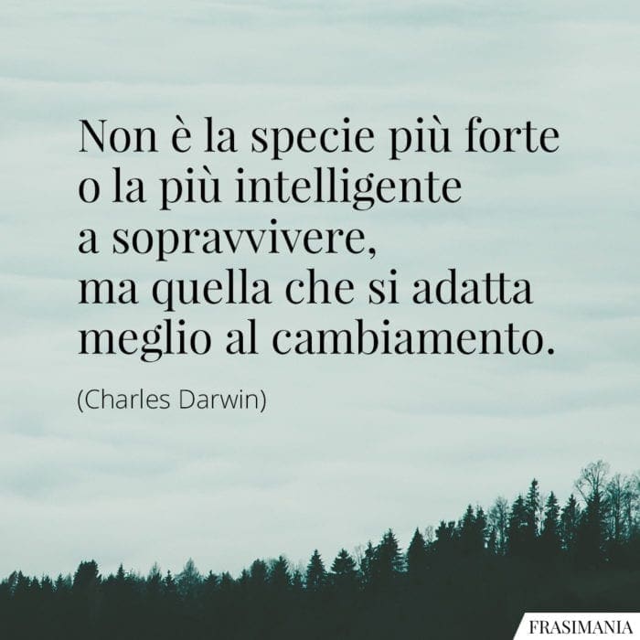 #comeSopravvivere 
#UntemaAlGiorno 
Buon giovedì!🌻