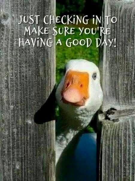 Morning Ian, I hope you have the best day possible. Xx
<a href="/IanRouth/">Ian Routh 2🌍25</a>