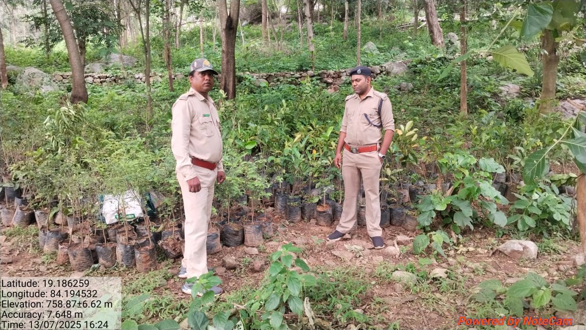 PCCF & HoFF Odisha (@pccfodisha) on Twitter photo Plantation Programme in Paralakhemundi Forest Division. <a href="/CMO_Odisha/">CMO Odisha</a> <a href="/ForestDeptt/">Odisha Forest, Env. and Climate Change Department</a> <a href="/PCCFWL_Odisha/">PCCF WL & CWLW, Odisha</a> Plantation Programme in Paralakhemundi Forest Division. <a href="/CMO_Odisha/">CMO Odisha</a> <a href="/ForestDeptt/">Odisha Forest, Env. and Climate Change Department</a> <a href="/PCCFWL_Odisha/">PCCF WL & CWLW, Odisha</a>