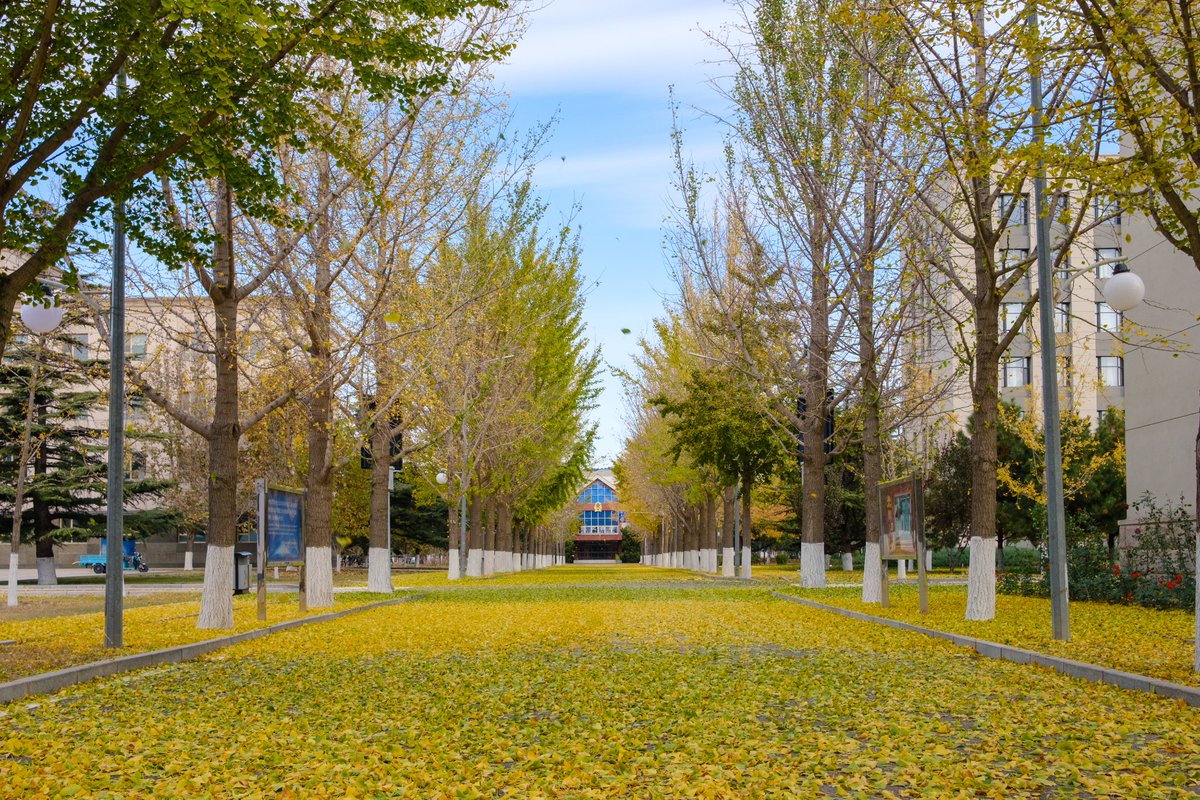 StudyinNDUChina's tweet image. 🌺🌳🍃🌨️Explore the beauty of changing seasons at the International College of Defence Studies (ICDS) of the National Defence University with us.