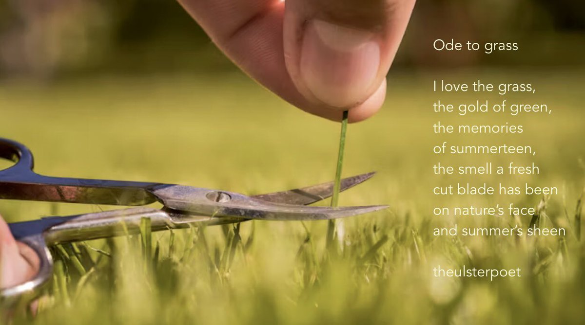 I am thinking of all those poor greens this week 😀…

#TheOpen #RoyalPortrush #Rory #Golf